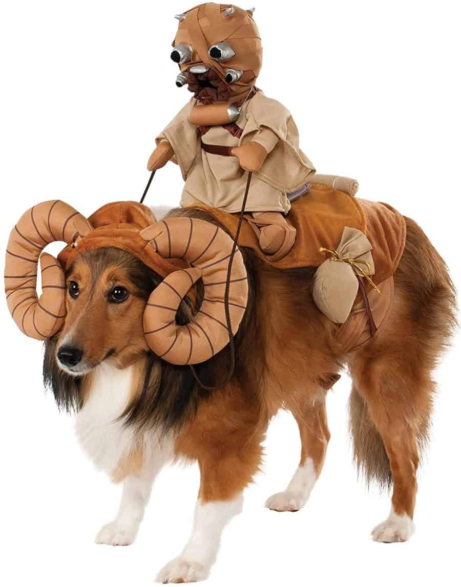 Bantha dog costume Halloween dogs