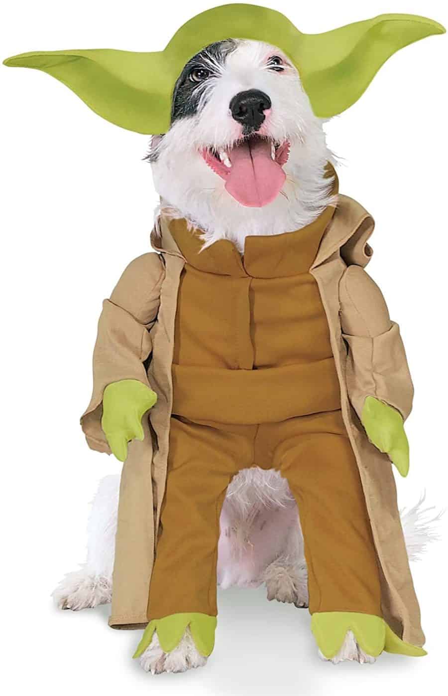 Yoda dog costume