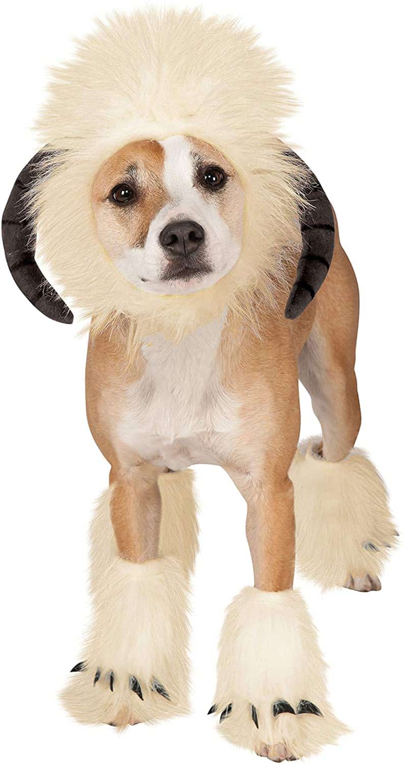 dog costume from Star Wars movie