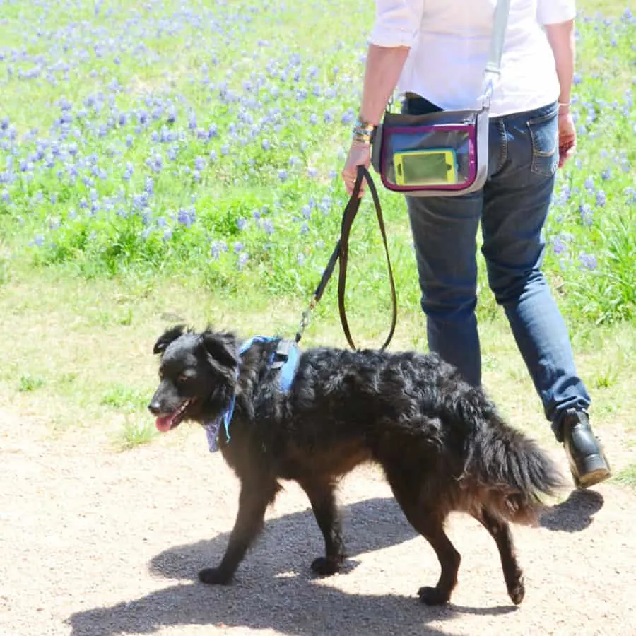 dog walking bag