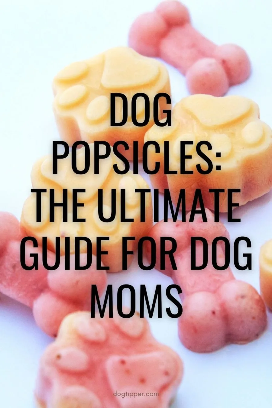 Your Ultimate Guide to Popsicles for Dogs!