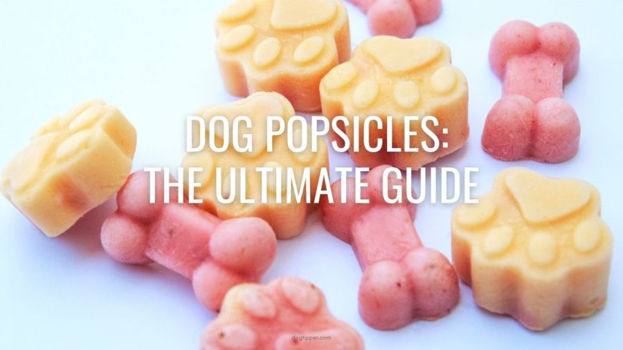 The BEST Pupsicles Recipe (Dog Popsicles!)