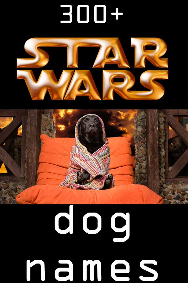 300+ Star Wars dog names