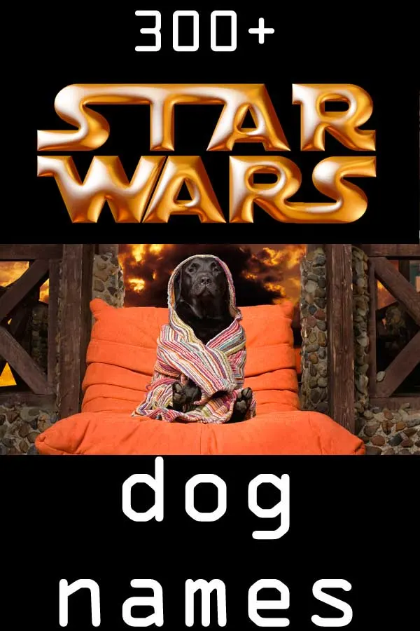 Star Wars dog names