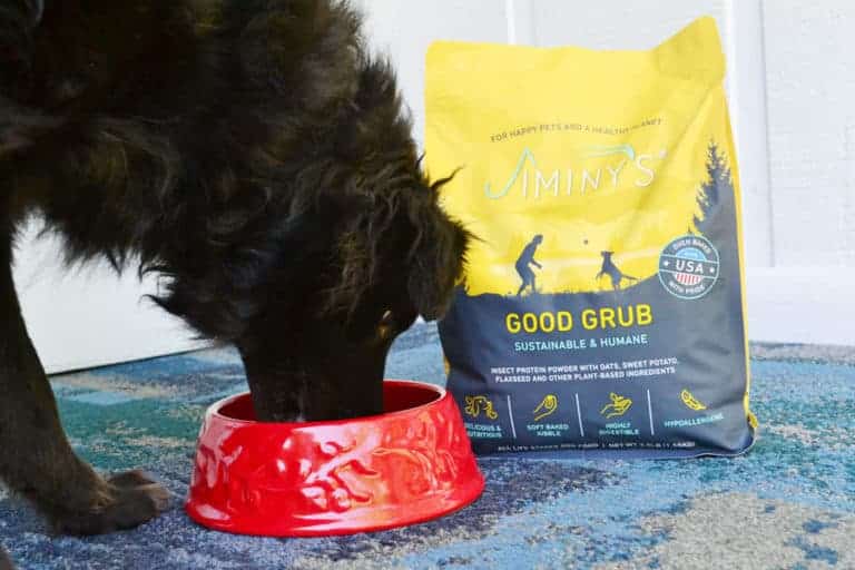 Cricket Dog Food? Insect Protein for Dogs