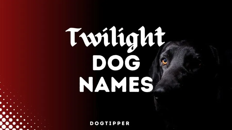 Twilight inspired names for dogs