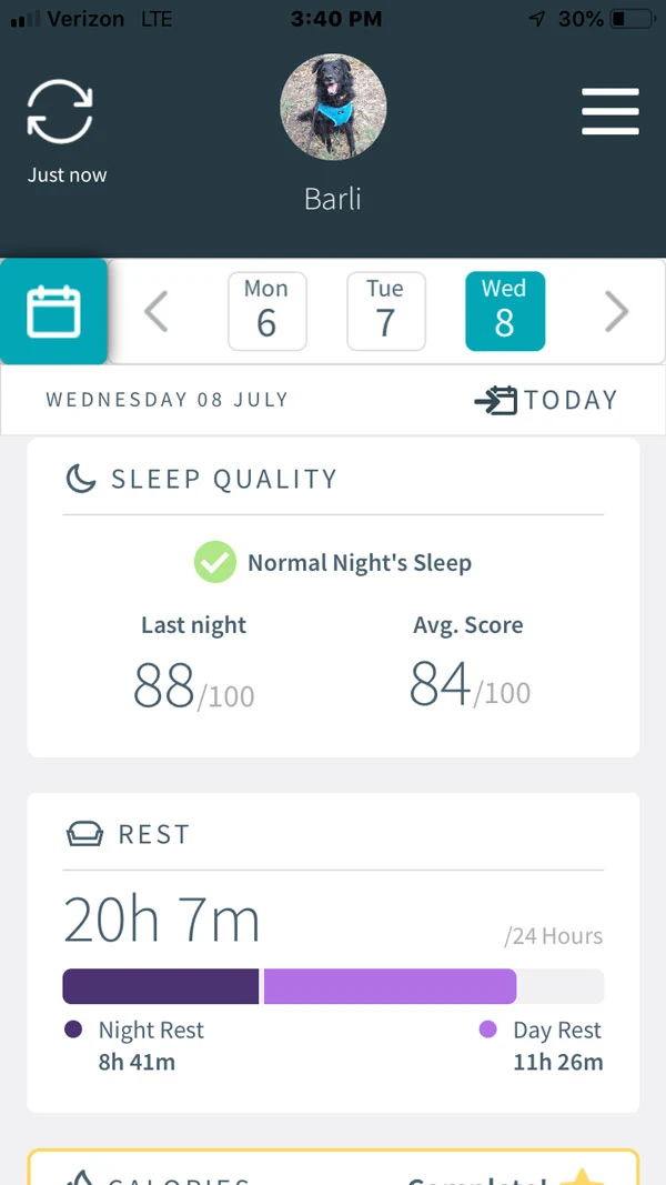 Animo Dog Activity Monitor -- sleep monitor