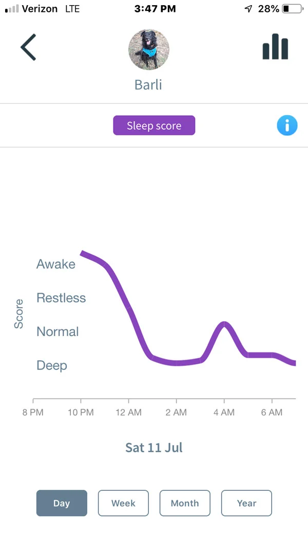 Animo Dog Activity Monitor -- sleep quality