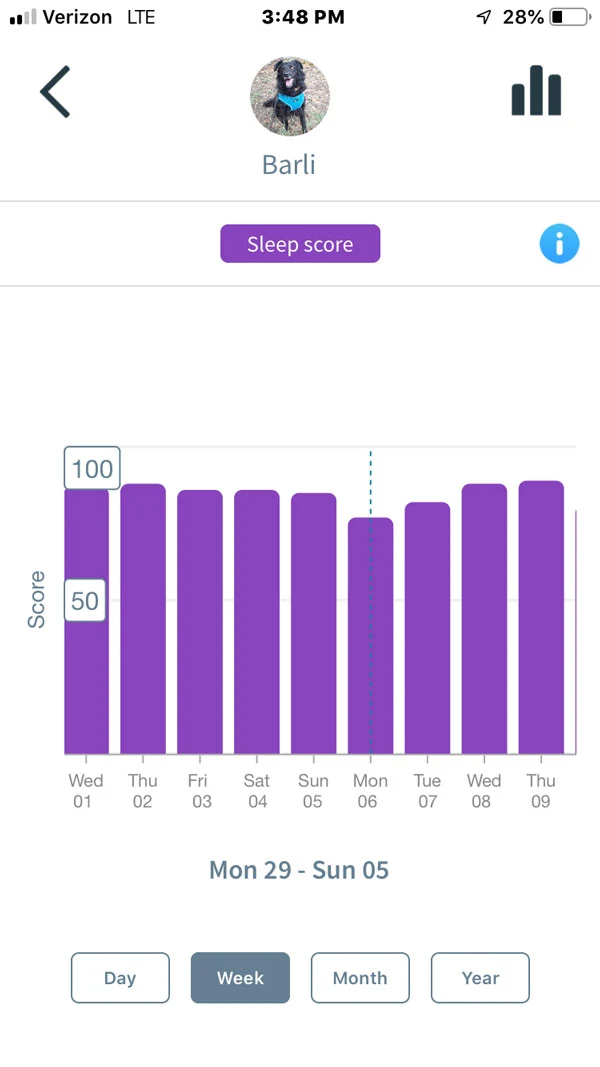 Animo Dog Activity Monitor -- sleep score
