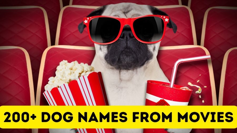 200+ dog names from movies