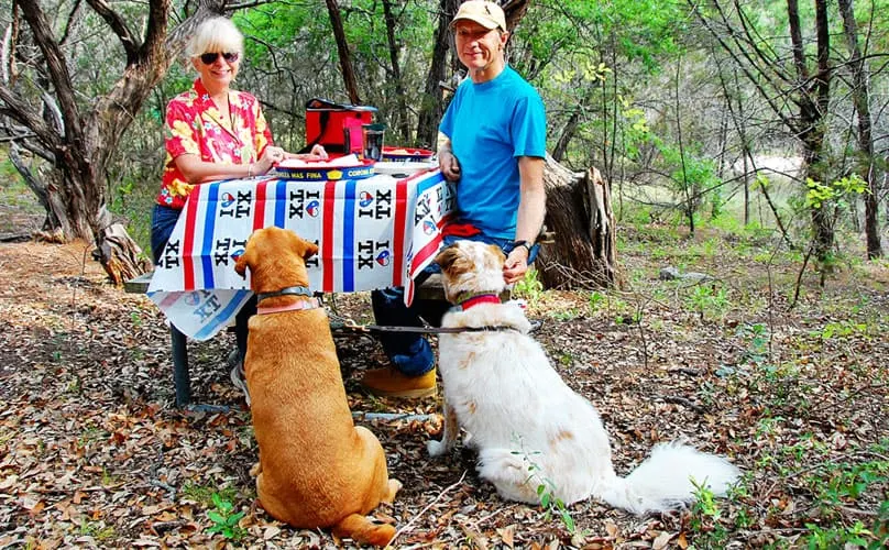 two dogs on picnic