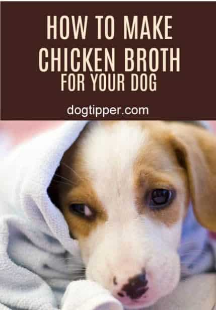 how to make chicken broth for your dog