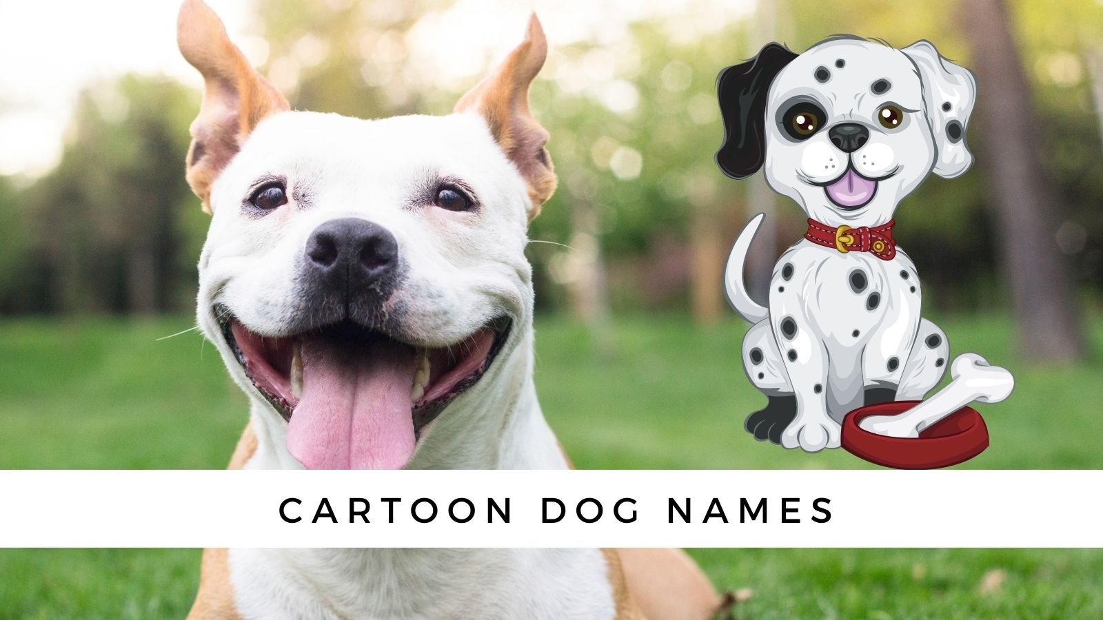 Cartoon Dog