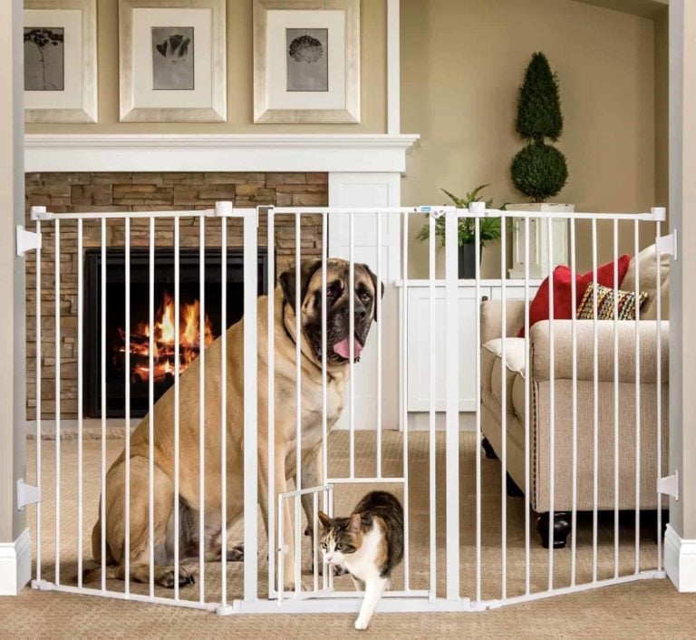 dog gate with built in cat door