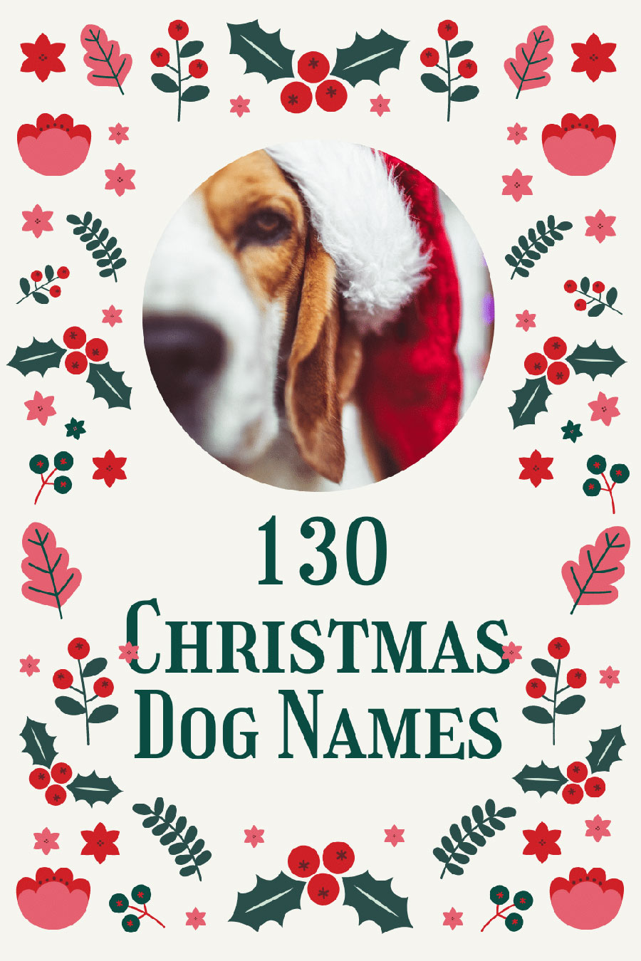 christmas names for dogs -- 130 winter dog names