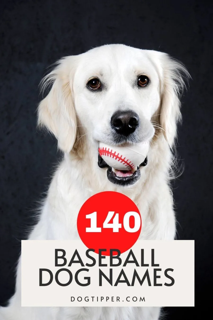 Play Ball, Hank!  Play ball, Dogs, Milwaukee brewers