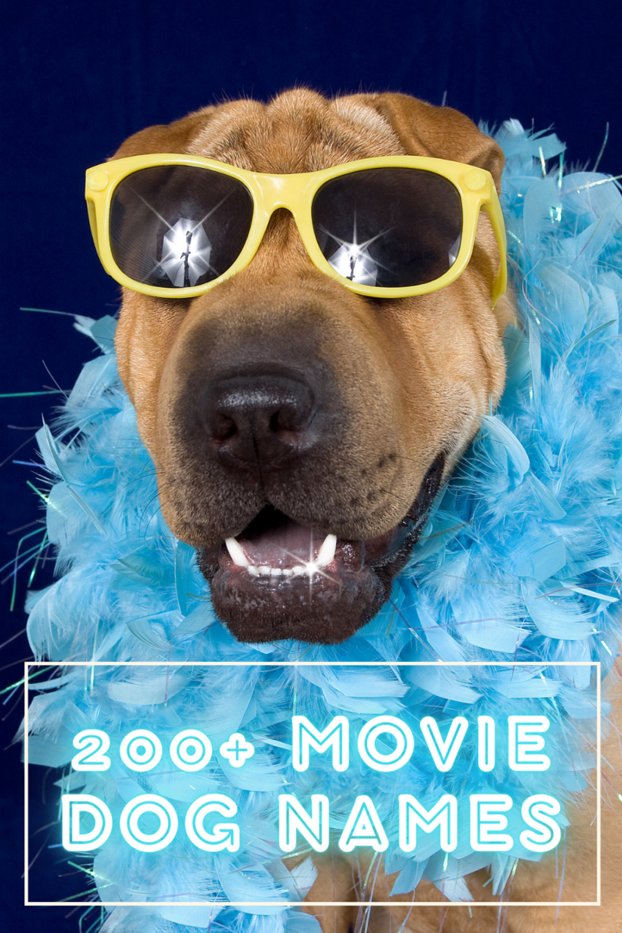 200 movie dog names