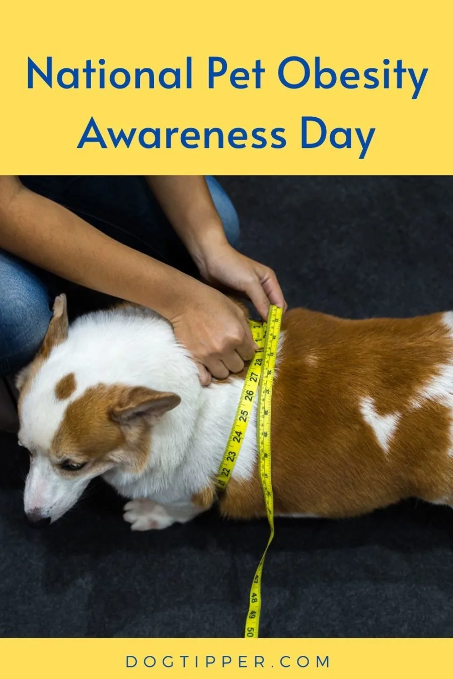 National Pet Obesity Awareness Day