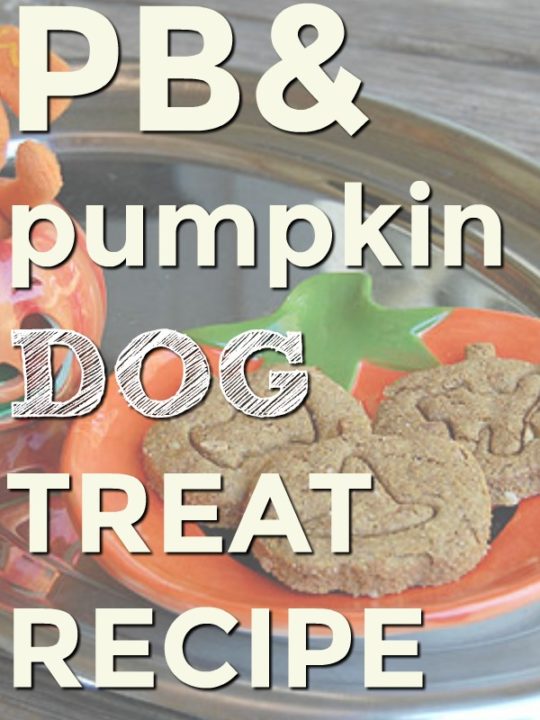 Peanut Butter and Pumpkin Halloween dog treat recipe