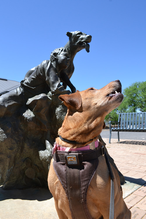 Irie in front of Old Yeller Statue, Mason