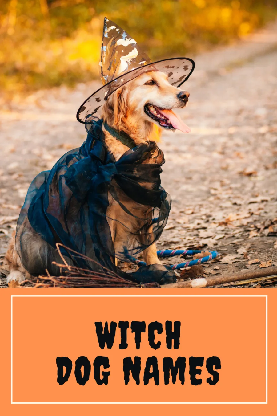 witchy dog names
