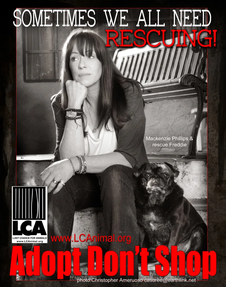 Mackenzie Phillips with- Freddie, the actress's rescue Pug in a Last Chance for Animals "Adopt, Don't Shop" ad.
