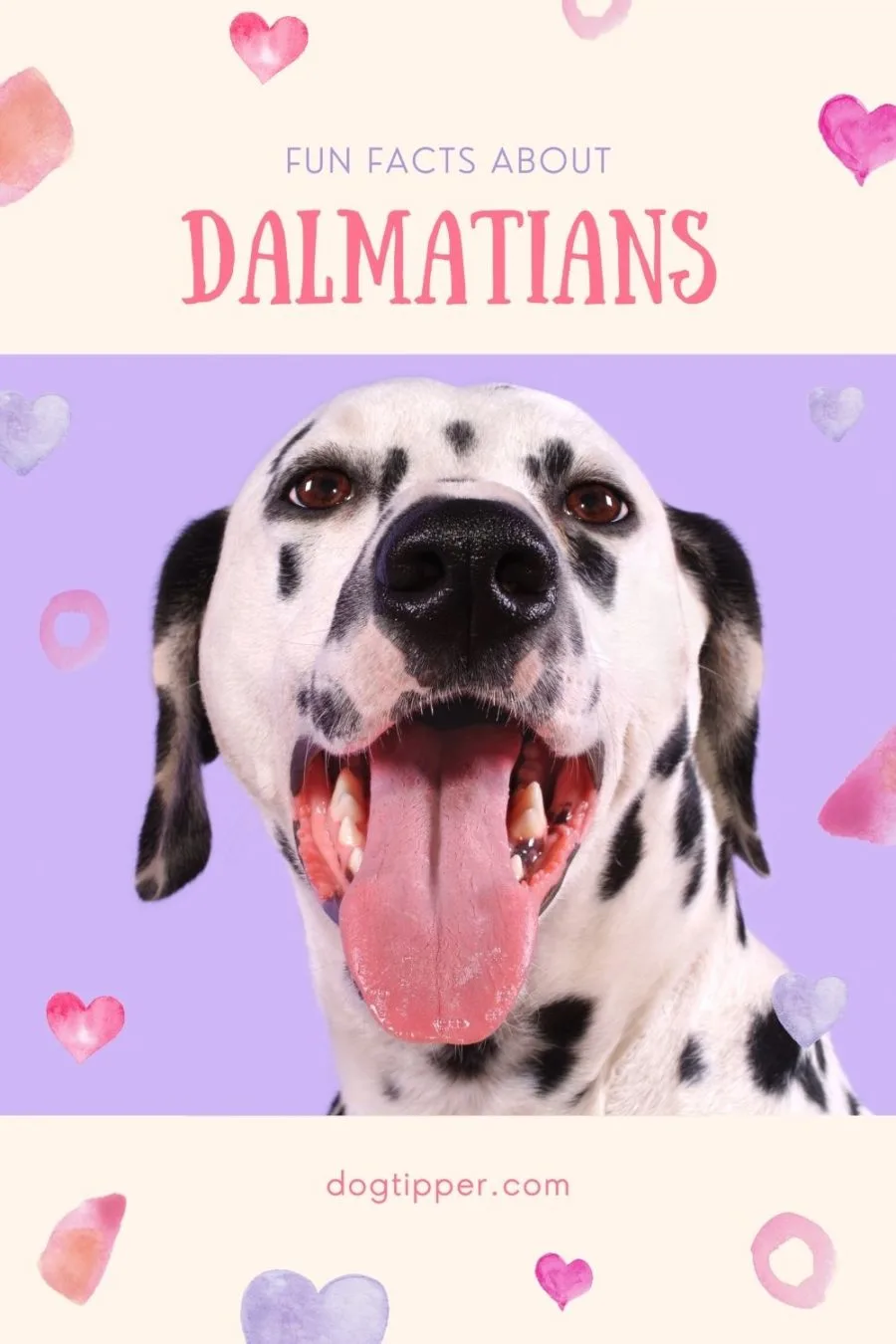 Fun Facts About Dalmatians