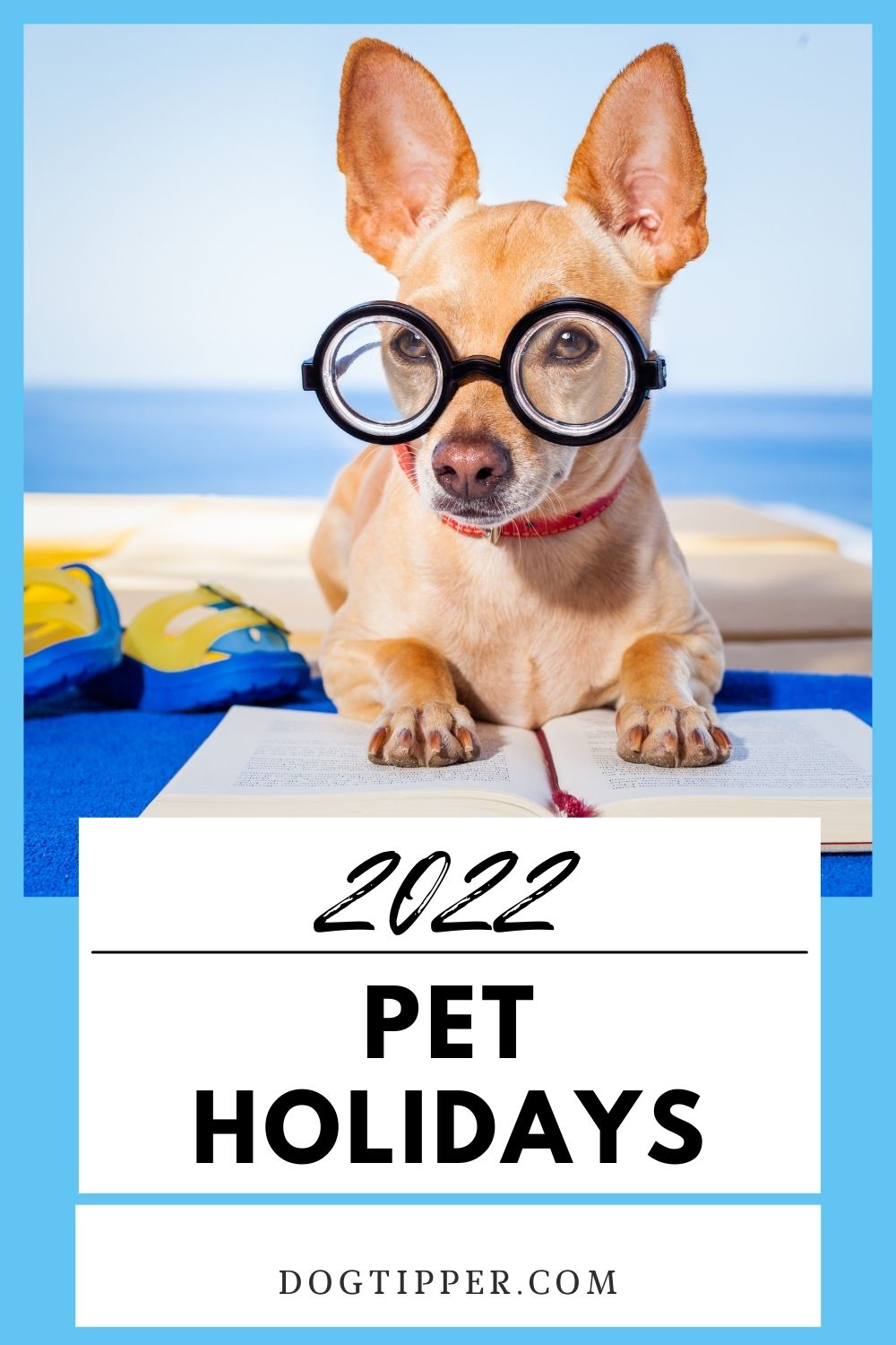 2022 Pet Holidays -- dog and cat holidays, dog observation months, awareness months