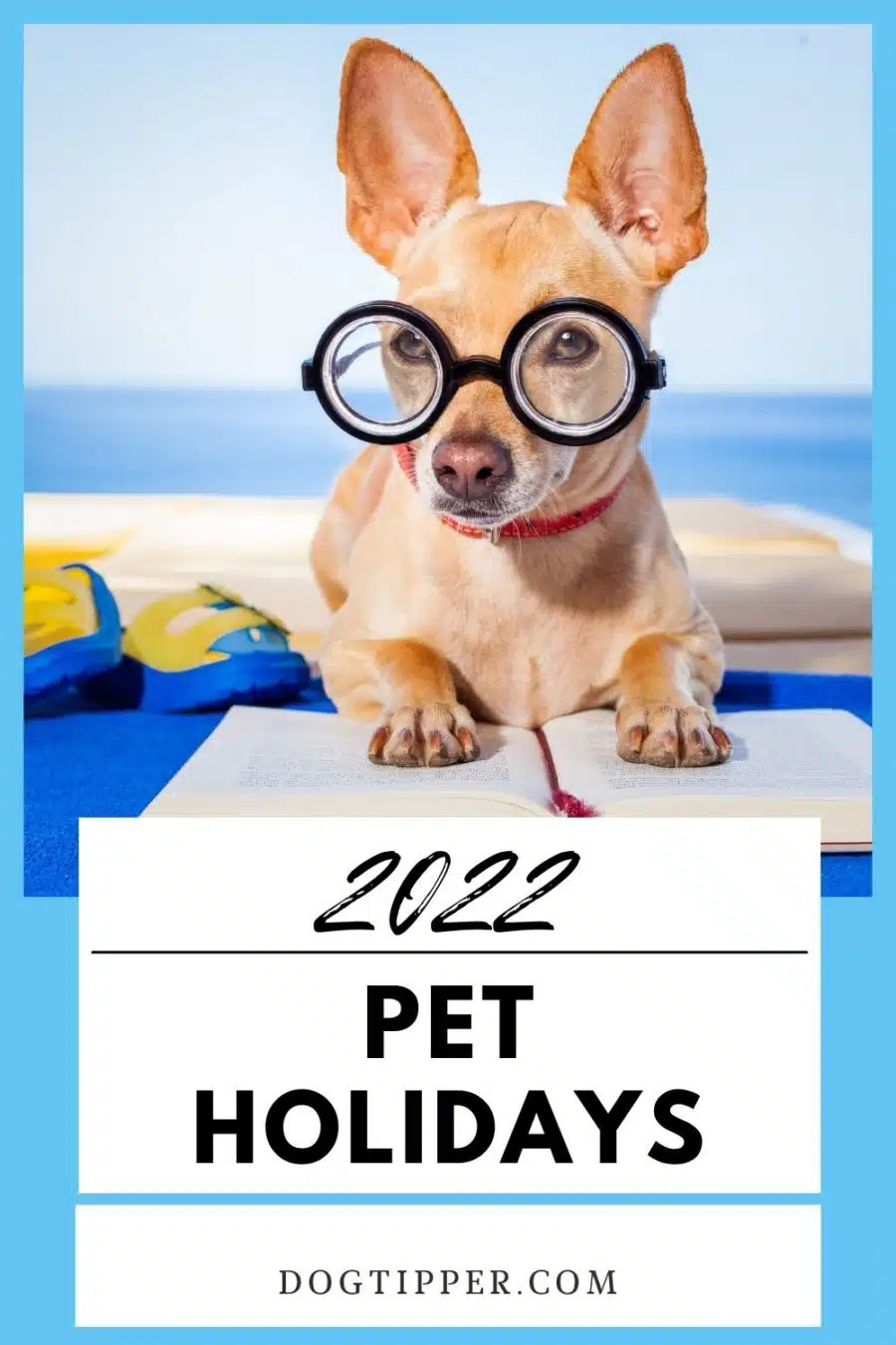 DogTipper: Tips for Celebrating Life with Your Dog!