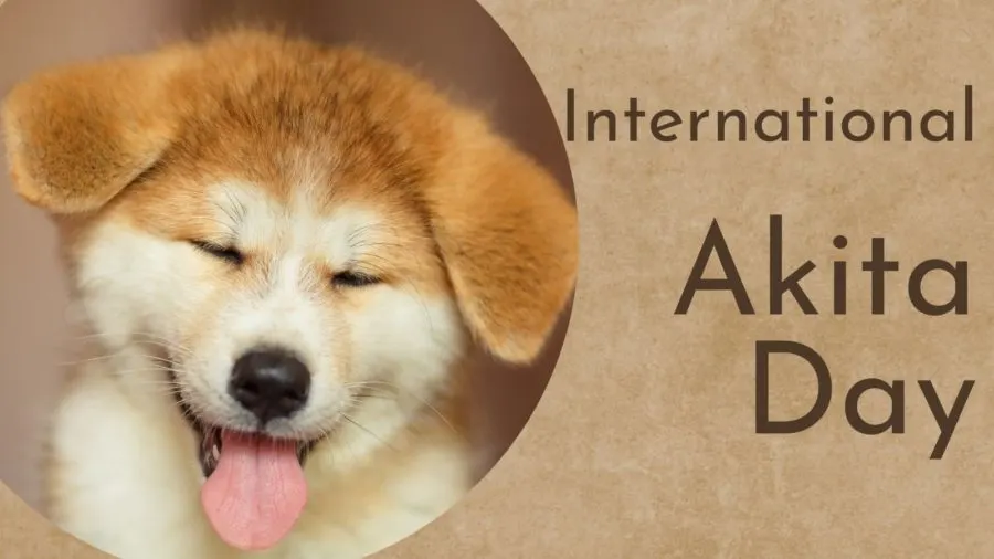 International Akita Day