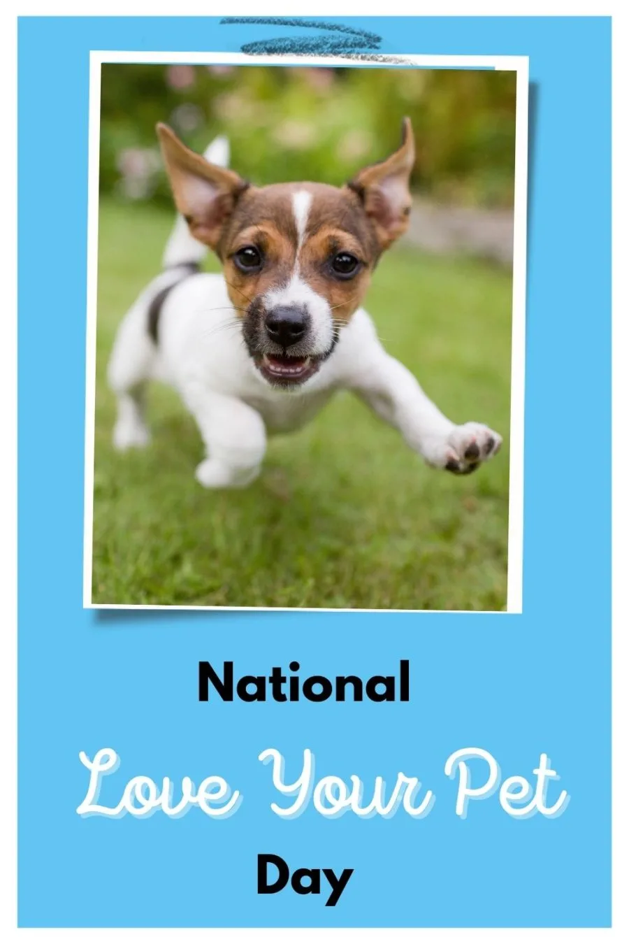 National Love Your Pet Day, February 20