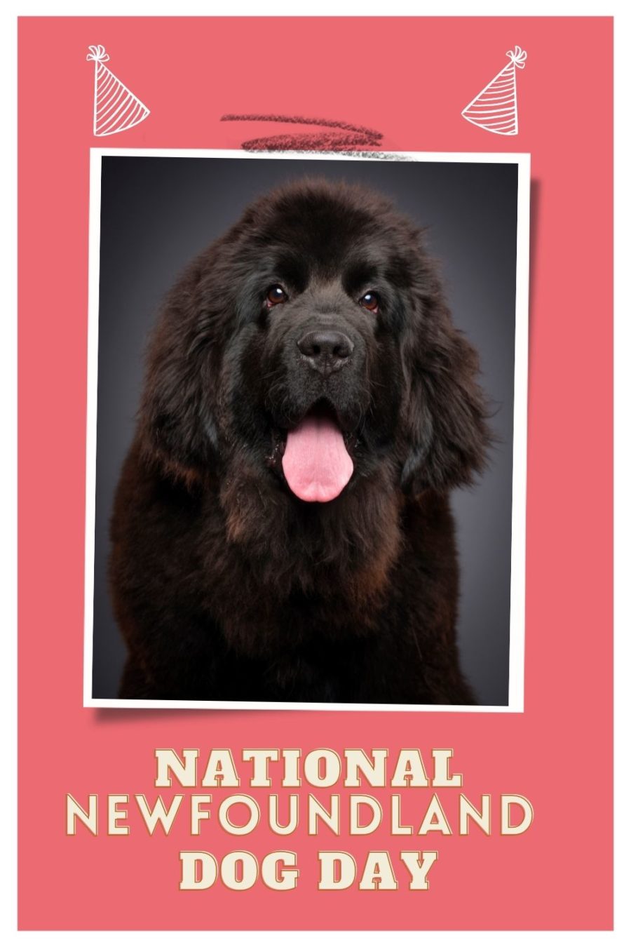 NATIONAL NEWFOUNDLAND DOG DAY
