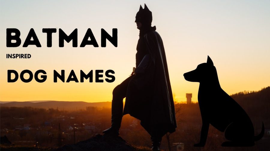 Batman dog names 