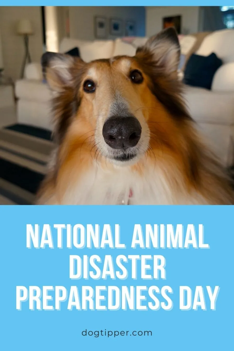 National Animal Disaster Preparedness Day