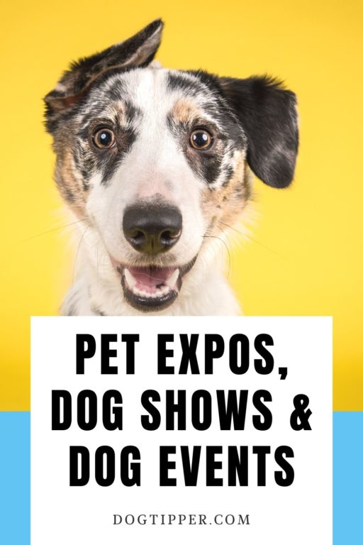 2024 Pet Expos, Dog Shows & Dog Events