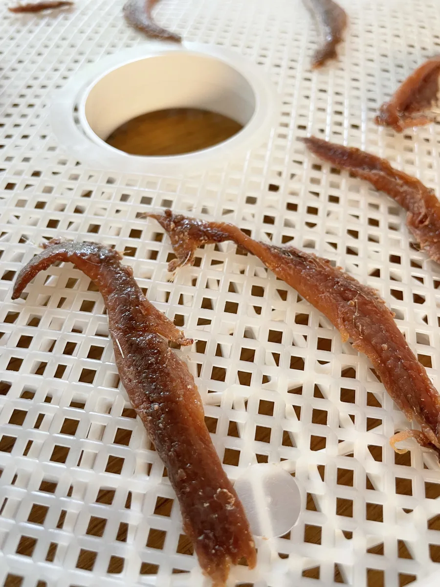 anchovies on mesh screen on dehydrator tray