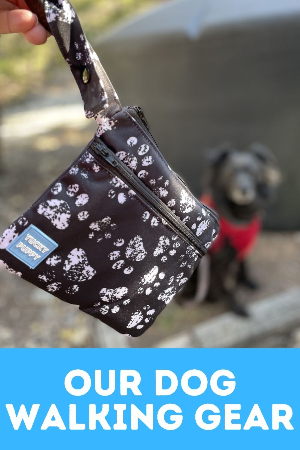 DogTipper Tips for Celebrating Life with Your Dog!