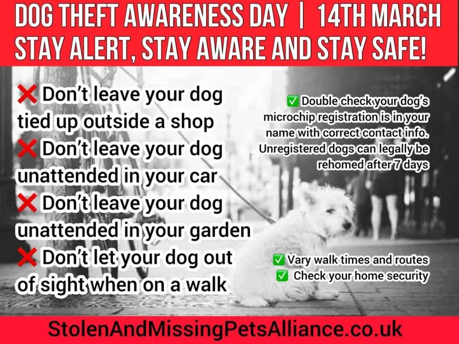 Dog Theft Awareness Day in the UK
