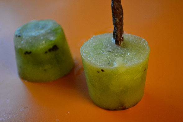 frozen kiwi dog treat recipe