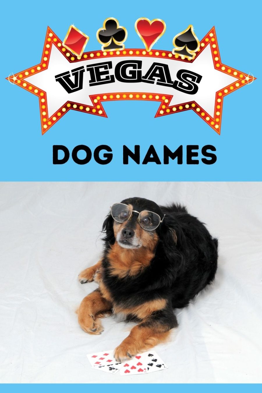 Vegas Dog Names