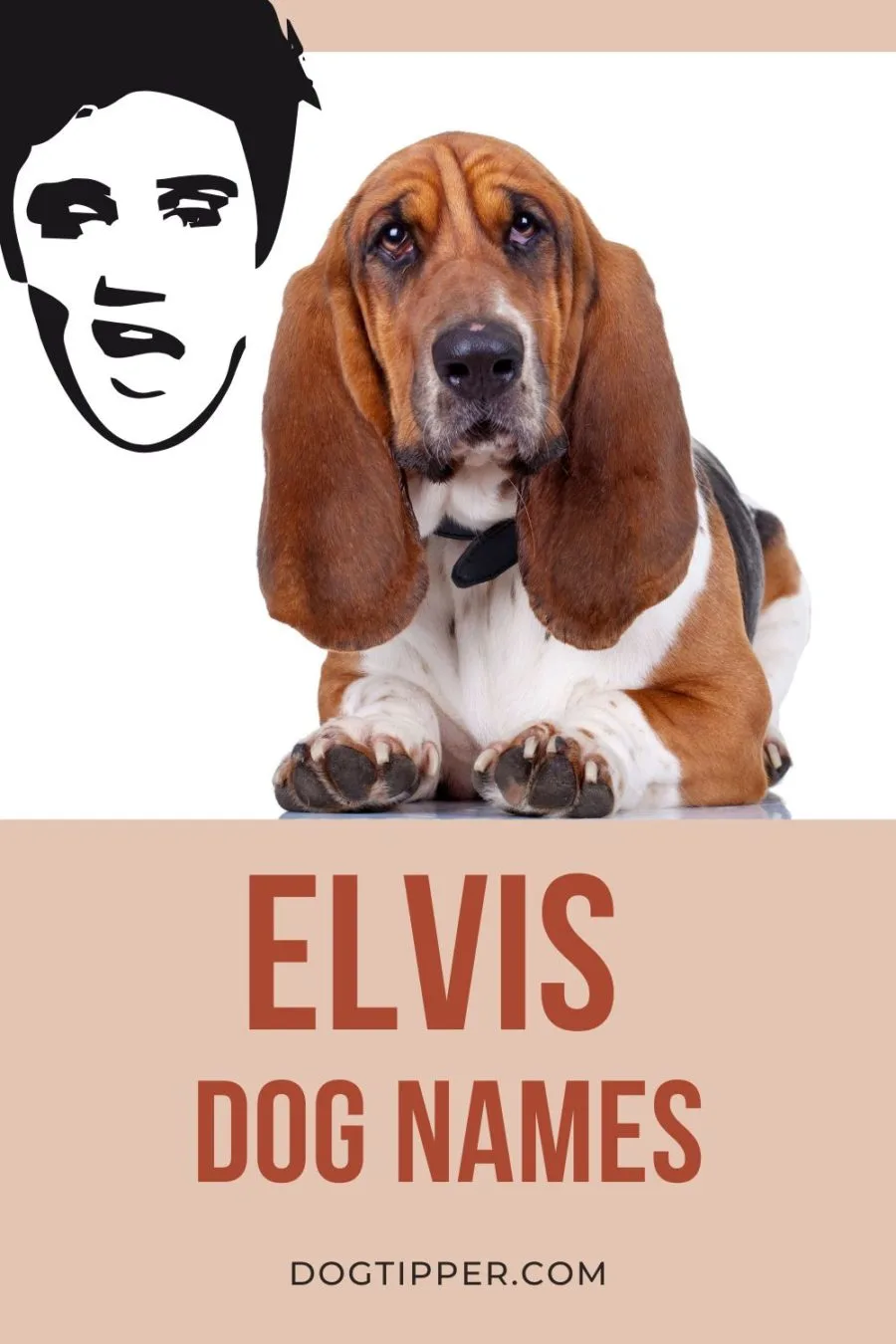 Elvis inspired dog names