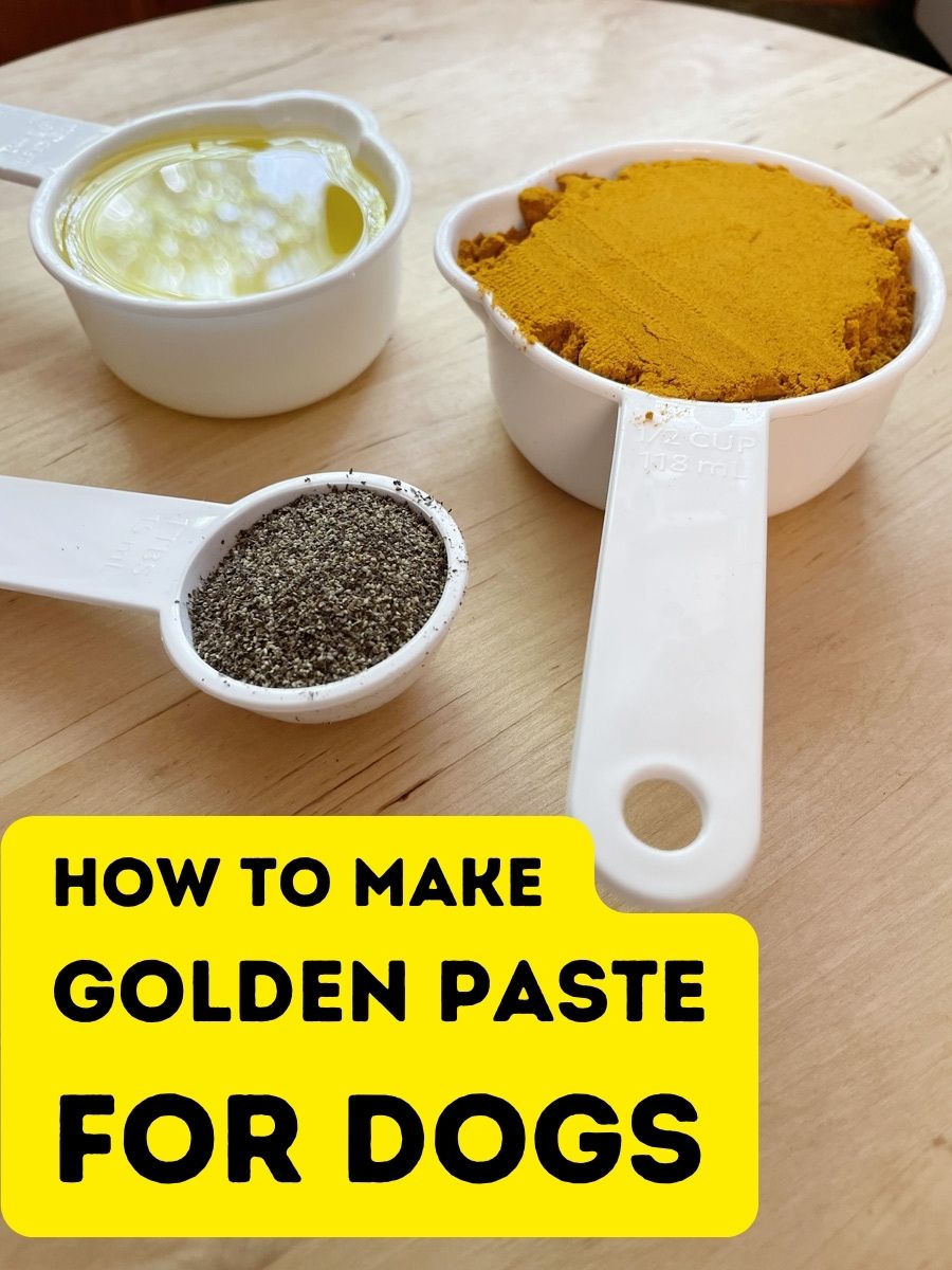 How to Make Golden Paste for Dogs