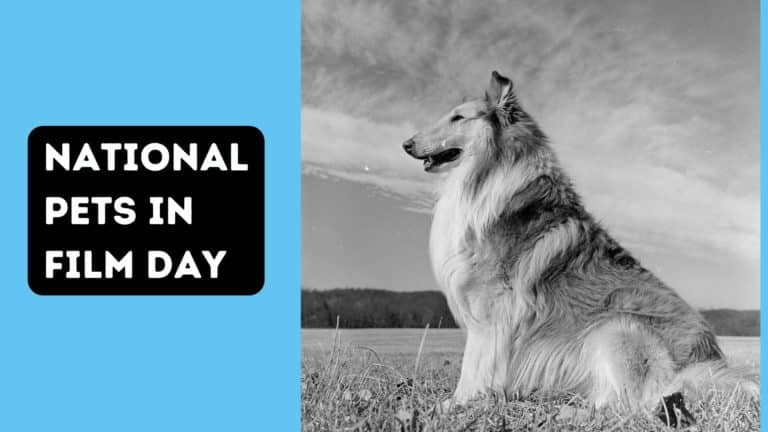 National Pets in Film Day – Dogs in Film You Can’t Miss
