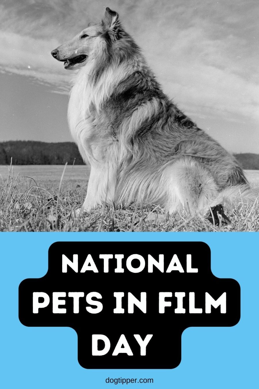 National Pets in Film Day