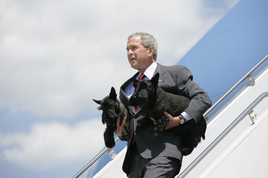 President Bush and Scottish Terriers