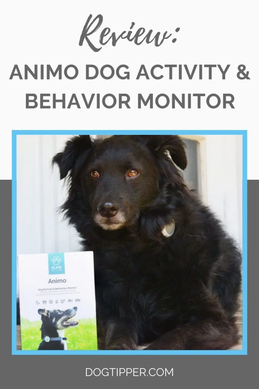 Animo Dog Activity and Behavior Monitor