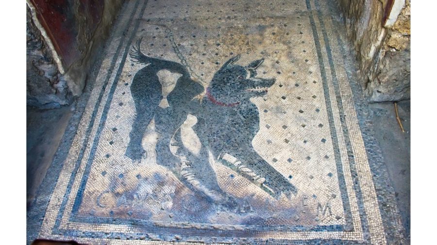 Cave Canem Mosaic in Pompeii Italy