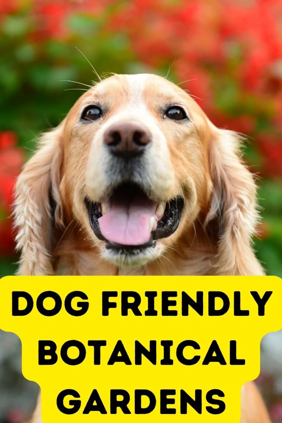 Dog Friendly Botanical Gardens