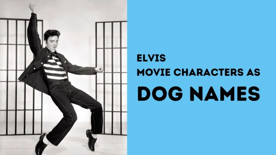 Elvis dog names inspired by movie characters