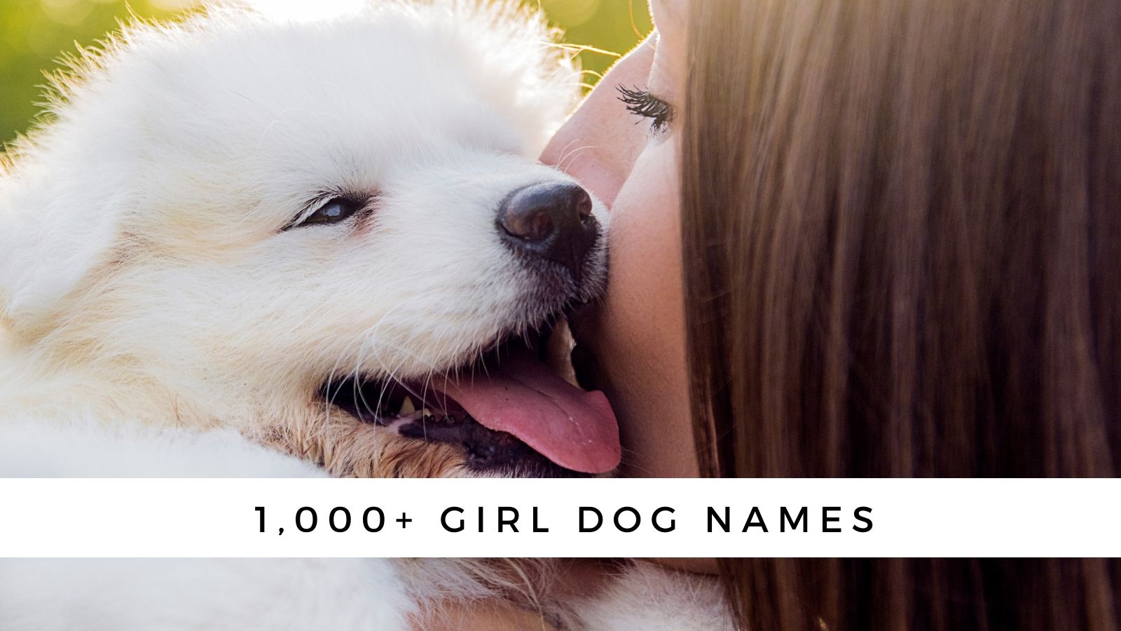 1000+ Girl Dog Names for Your Fur Baby (2023)